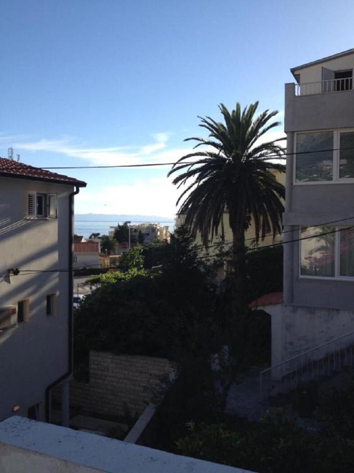 Smiljka * Makarska